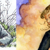 Re-illustrating a classic